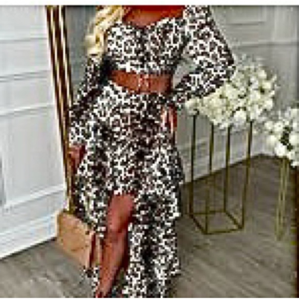 🆕Elegant Black & White Leopard Print Women's Hi-Lo Skirt & Crop Top. Size L.NWT.